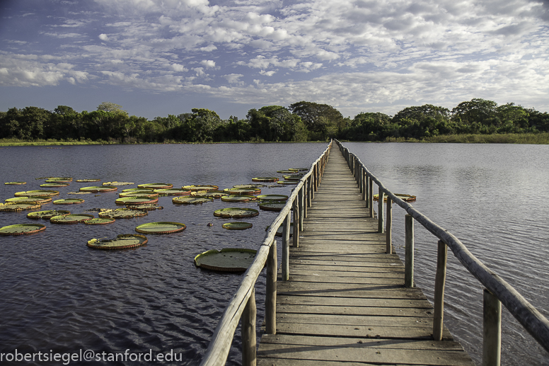 pantanal